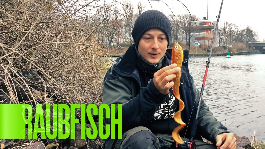 Kunstköderporträt: Iron Claw Sucker Bigbait
