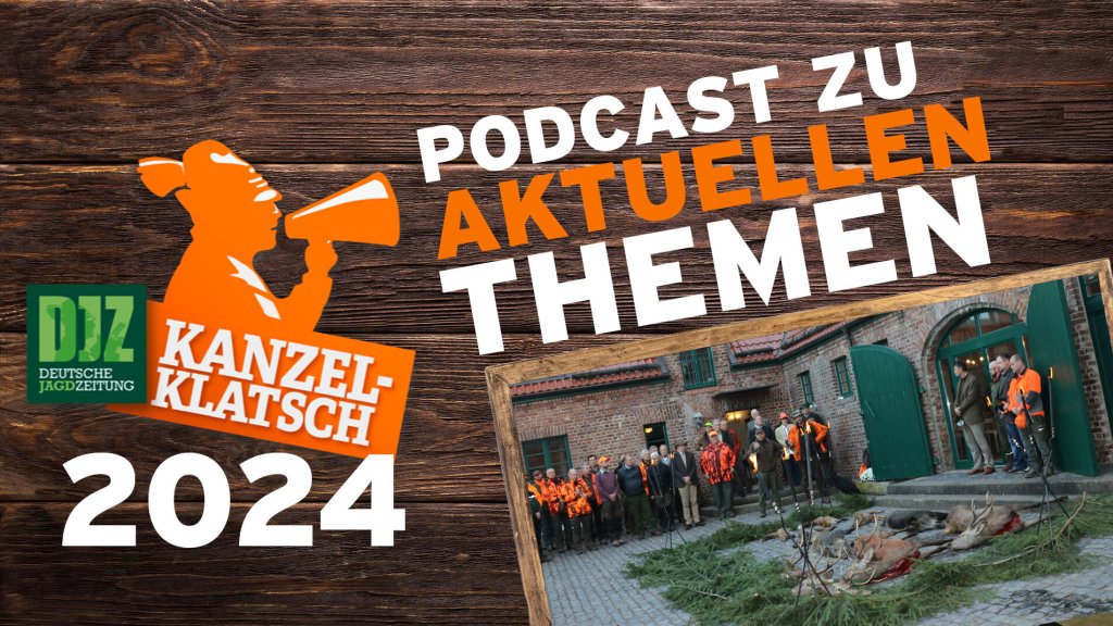 DJZ-Kanzelklatsch - Drückjagdfreigaben Teil 1