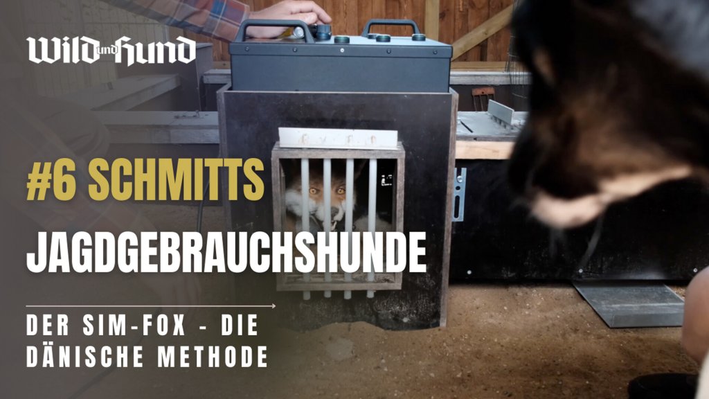 Schmitts Jagdgebrauchshunde - Der SIM-Fox: Die dänische Methode