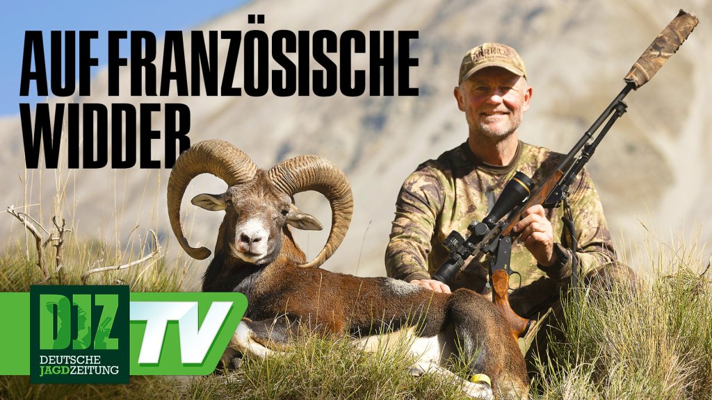 Thomas Lindy Nissen ist vor allem Lesern von Jagen Weltweit ein Begriff, denn der Autor und Fotograf hat schon Jäger um die  halbe Welt mit der (Foto)kamera begleitet und über deren Erlebnisse geschrieben. Nun wechselt der Däne zum Bewegtbild. Mit  seinem