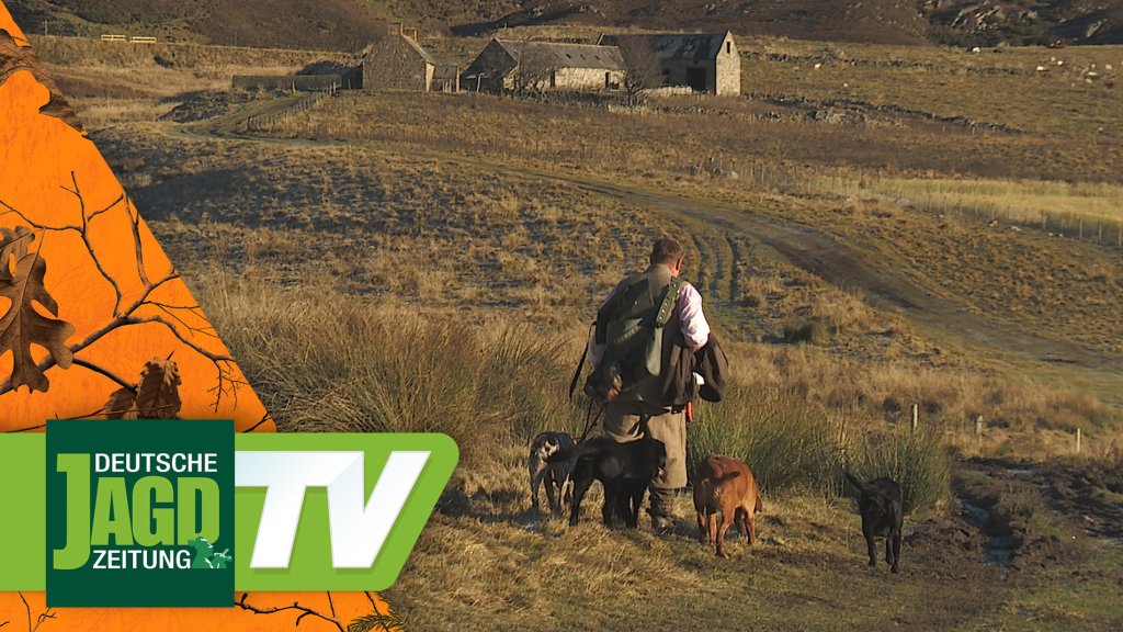 JWW-Leserreise: Auf Rothühner und Fasanen in Schottland