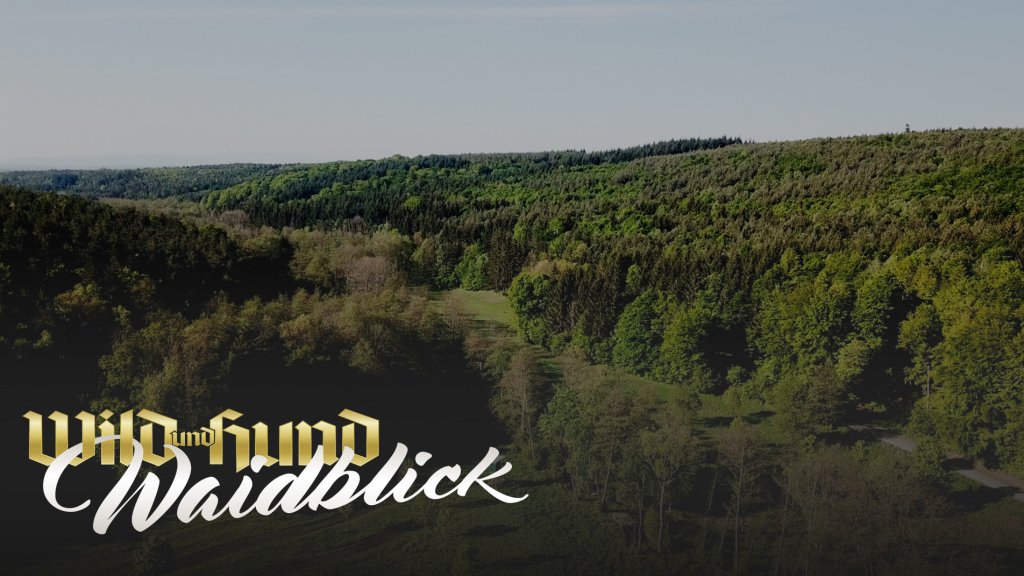 Im Burgenland bei Esterhazy - Niederwildhege und ökologische Landwirtschaft
