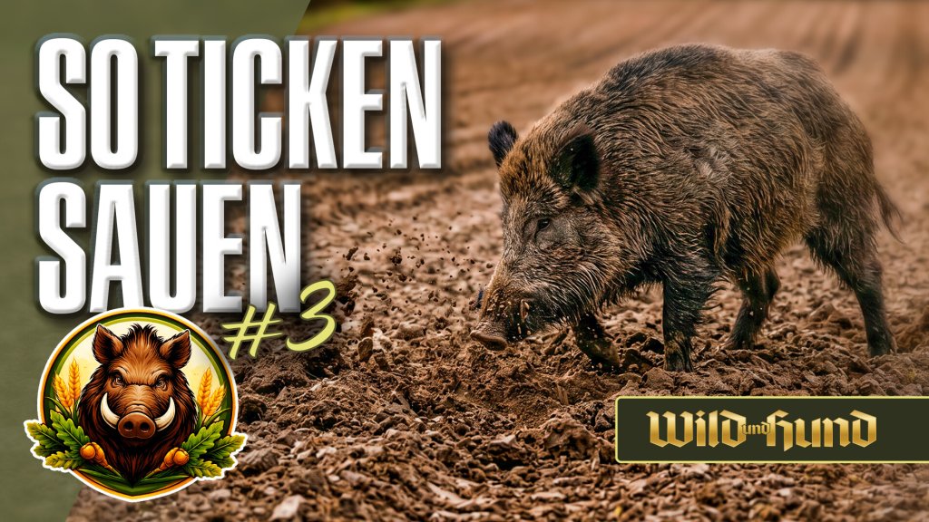 So ticken Sauen – Wenn die Saat zieht