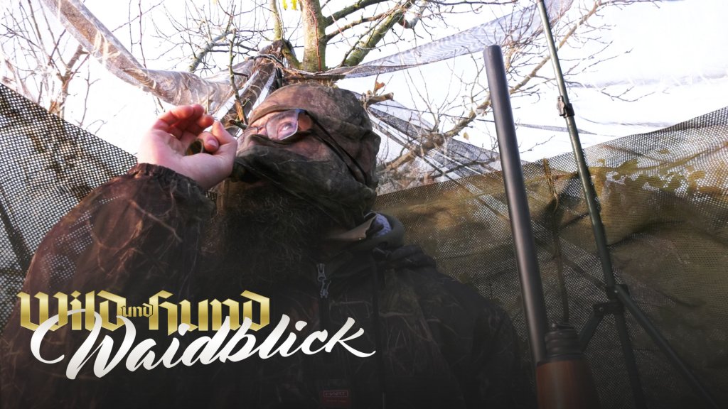 Eine Harte Nuss - Krähenjagd am Nussbaum