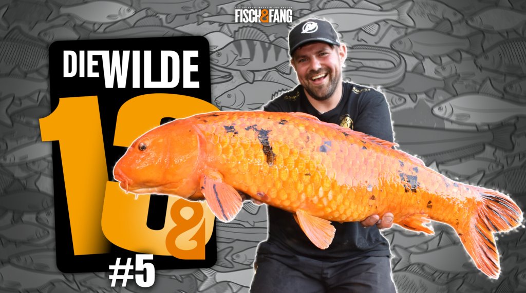 Die Wilde 13: Folge 5