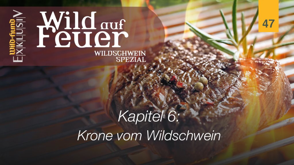 Wild auf Feuer - Kapitel 6 Krone vom Wildschwein | WILD UND HUND-Exklusiv 47