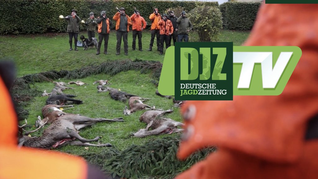 Traumziel Target World