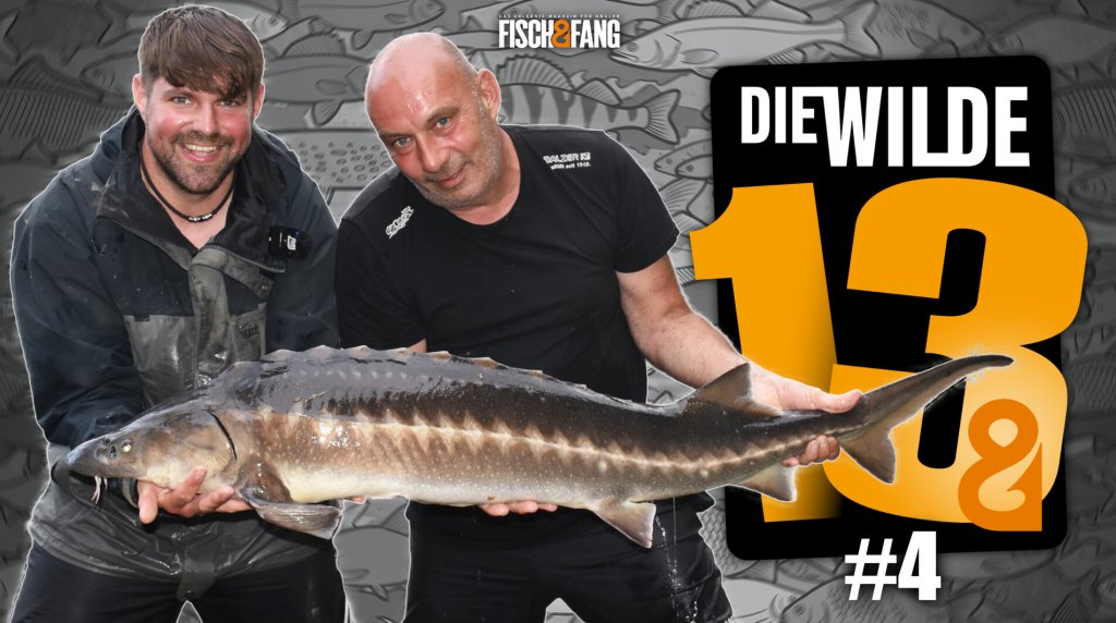 Die Wilde 13: Folge 4