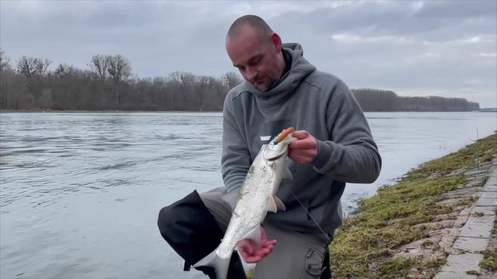 Winter-Wels: Die Revanche!