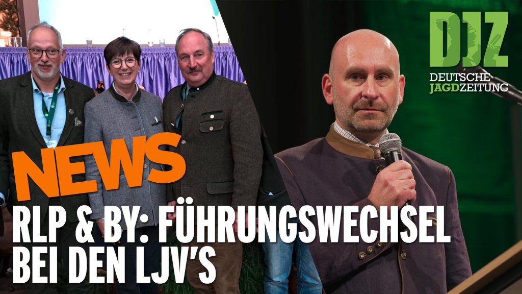 DJZ News 29. April 2026 – April-Finale