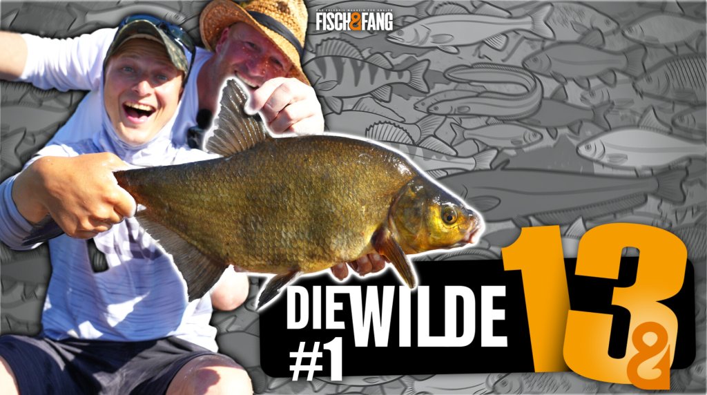 Die Wilde 13: Folge 1