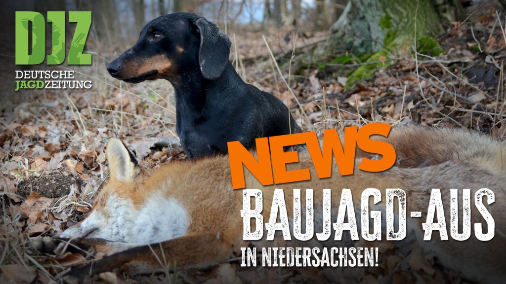 Jagdgesetz, Luchs und Rotwild: Das bewegt die Jägerschaft | DJZ-News
