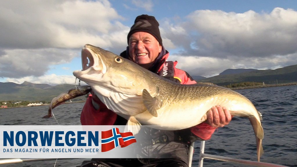 Die Löwen vom Dyrøysund