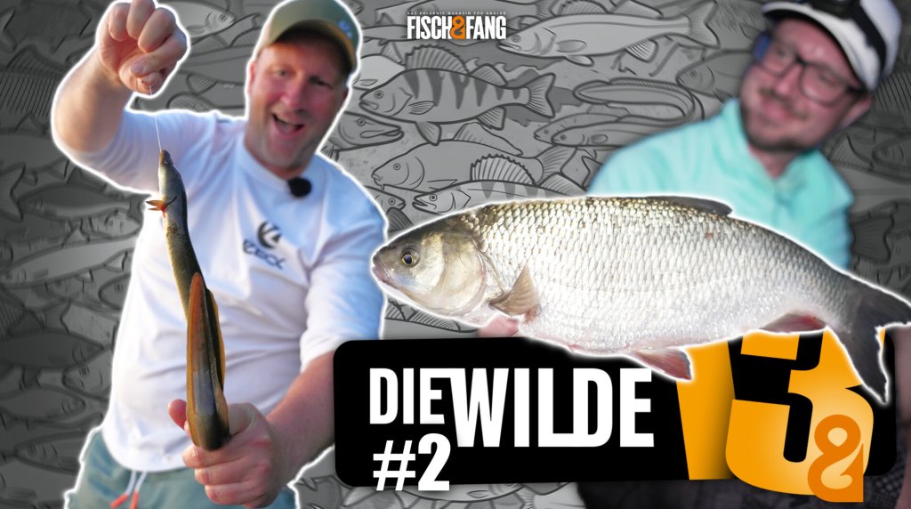 Die Wilde 13: Folge 2