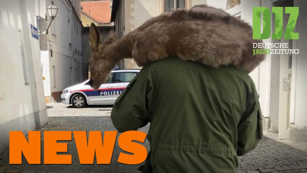 Spektakuläre Rehrettung, Bockjagd-Countdown, Waldbrand u.w. - DJZ-News 17/2020
