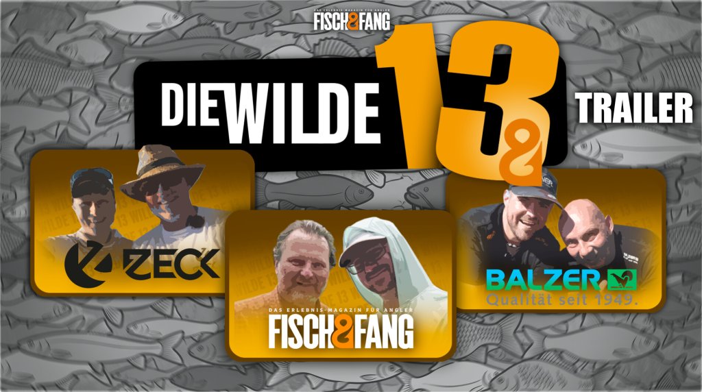 Trailer: Die Wilde 13