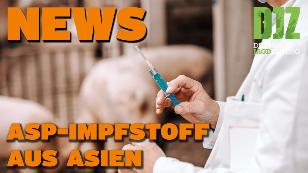 DJZ News 08.02.2023